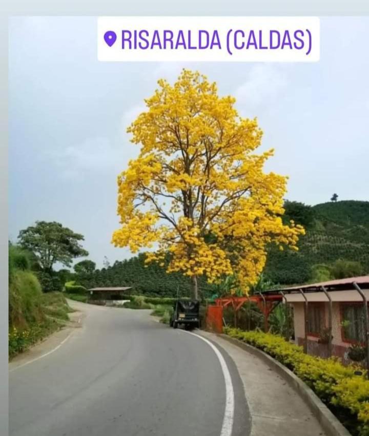 Hotel La Colina Del Viento Risaralda  ภายนอก รูปภาพ